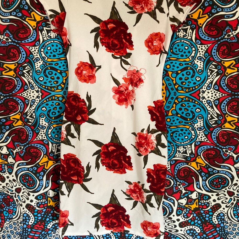 Dress - Picture 2 of 2